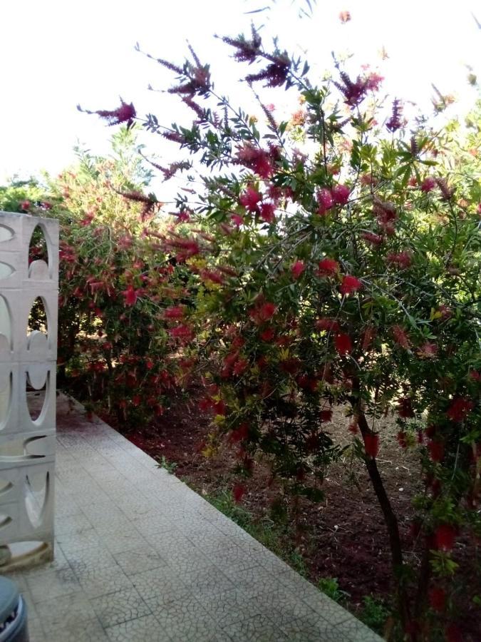 Villa Grazia Βιέστε Εξωτερικό φωτογραφία